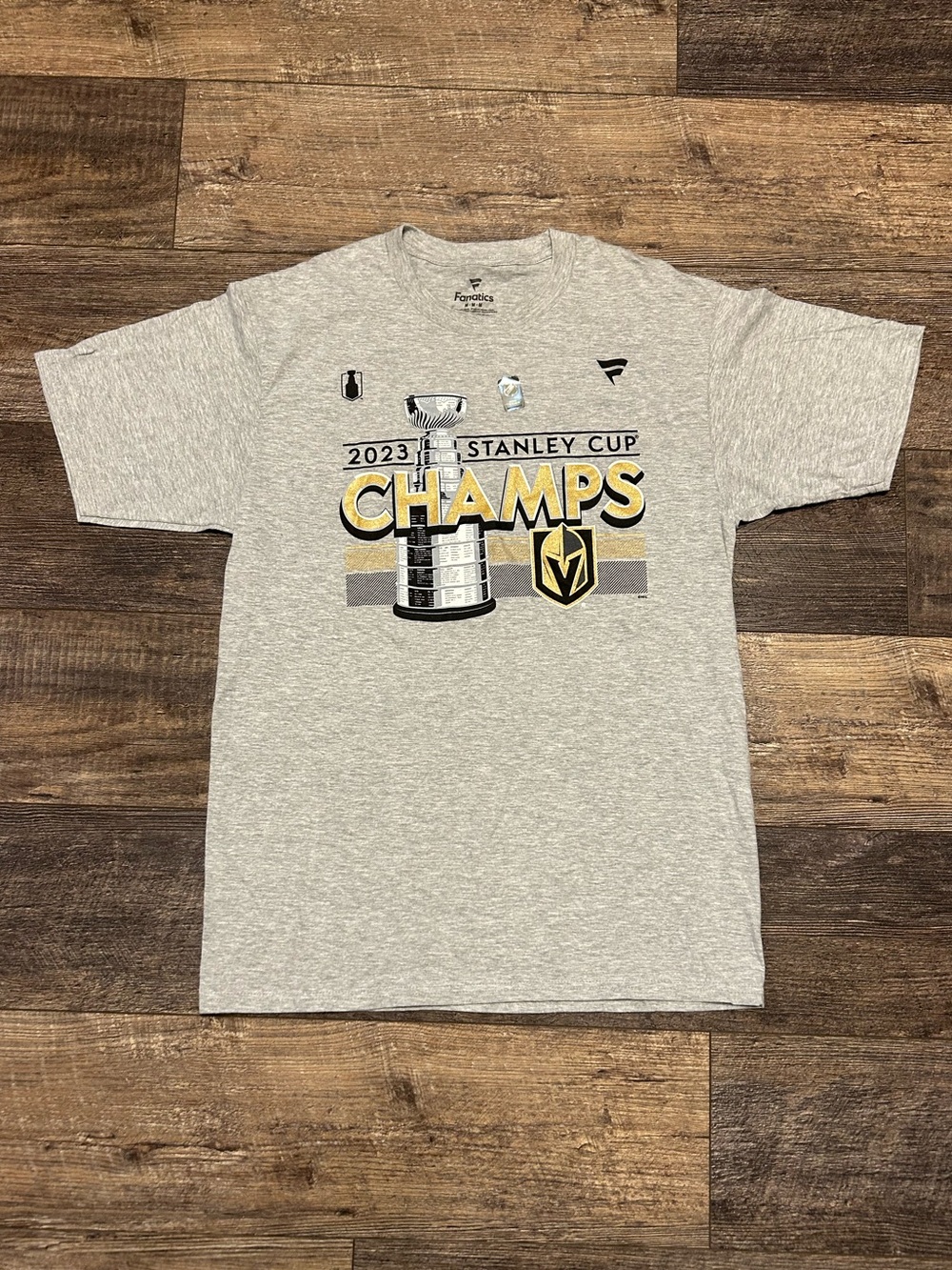 Vegas Golden Knights 2023 Stanley Cup Champions Men's Sz Medium Gray T-Shirt
